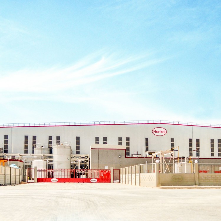 Henkel, Egypt