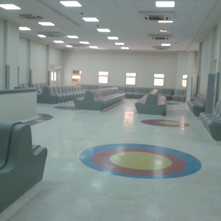 National Cancer Institute, Egypt