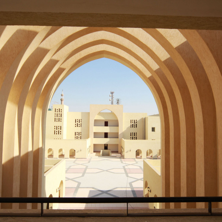 Shouba Institute, Egypt